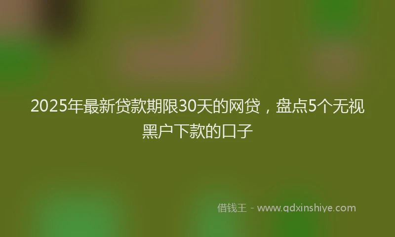 2025年最新贷款期限30天的网贷，盘点5个无视黑户下款的口子