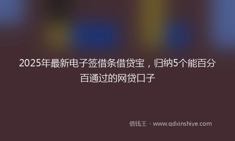 2025年最新电子签借条借贷宝，归纳5个能百分百通过的网贷口子