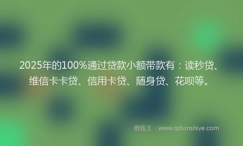 2025年的100%通过贷款小额带款有：读秒贷、维信卡卡贷、信用卡贷、随身贷、花呗等。