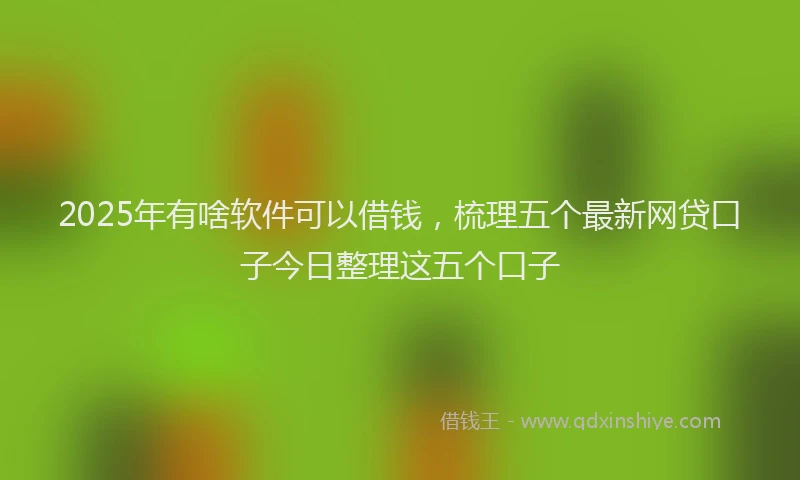 2025年有啥软件可以借钱，梳理五个最新网贷口子今日整理这五个口子