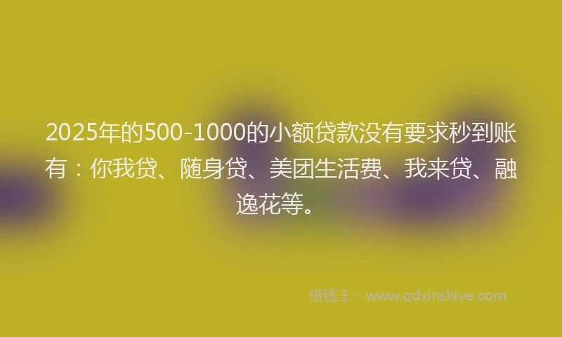 2025年的500-1000的小额贷款没有要求秒到账有：你我贷、随身贷、美团生活费、我来贷、融逸花等。