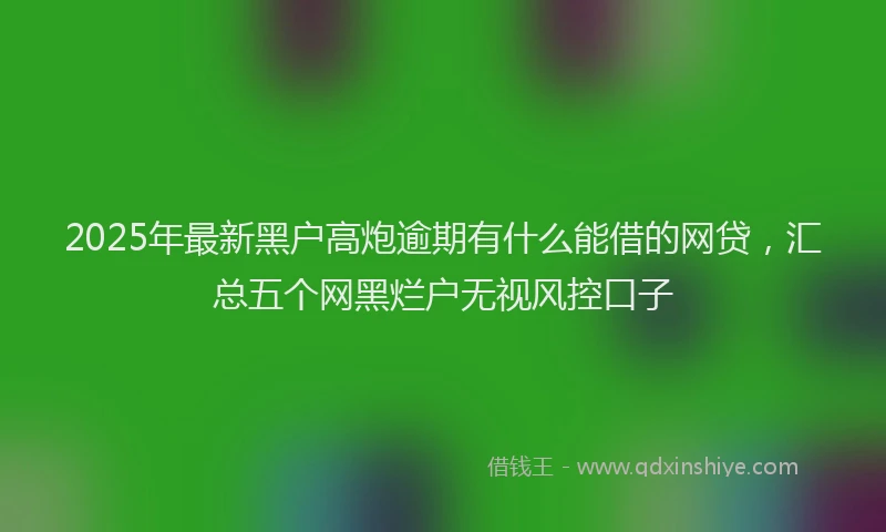 2025年最新黑户高炮逾期有什么能借的网贷，汇总五个网黑烂户无视风控口子