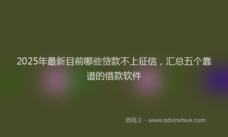 2025年最新目前哪些贷款不上征信，汇总五个靠谱的借款软件