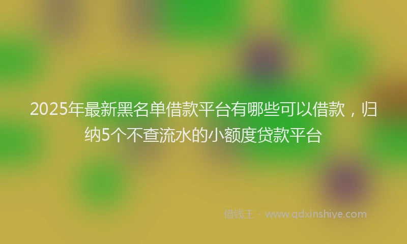 2025年最新黑名单借款平台有哪些可以借款，归纳5个不查流水的小额度贷款平台