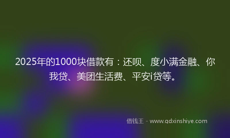 2025年的1000块借款有：还呗、度小满金融、你我贷、美团生活费、平安i贷等。