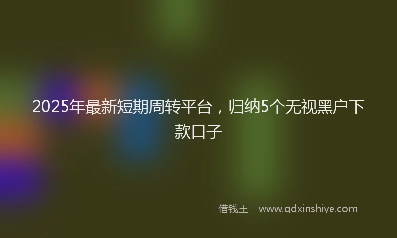 2025年最新短期周转平台，归纳5个无视黑户下款口子