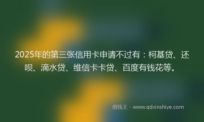 2025年的第三张信用卡申请不过有：柯基贷、还呗、滴水贷、维信卡卡贷、百度有钱花等。