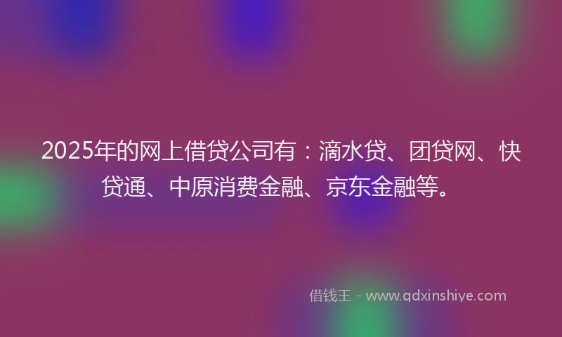 2025年的网上借贷公司有：滴水贷、团贷网、快贷通、中原消费金融、京东金融等。