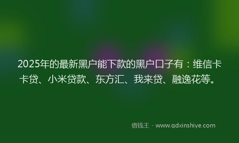 2025年的最新黑户能下款的黑户口子有：维信卡卡贷、小米贷款、东方汇、我来贷、融逸花等。