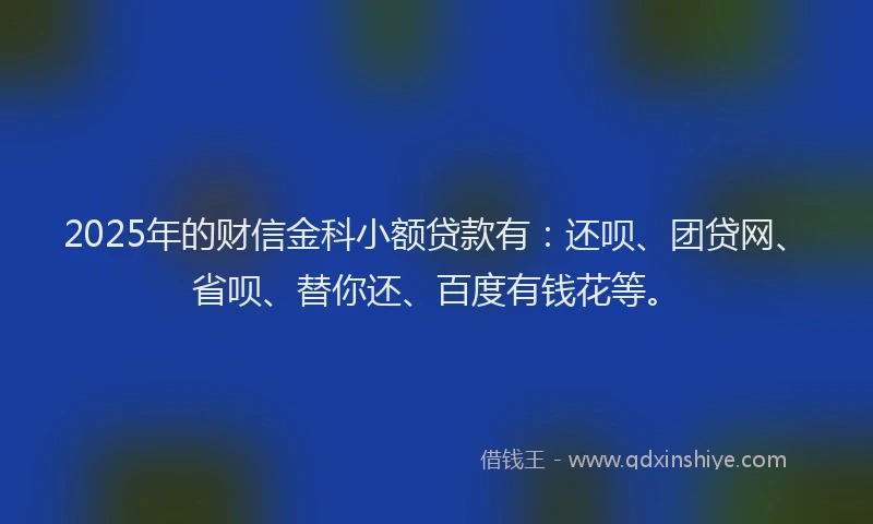 2025年的财信金科小额贷款有：还呗、团贷网、省呗、替你还、百度有钱花等。