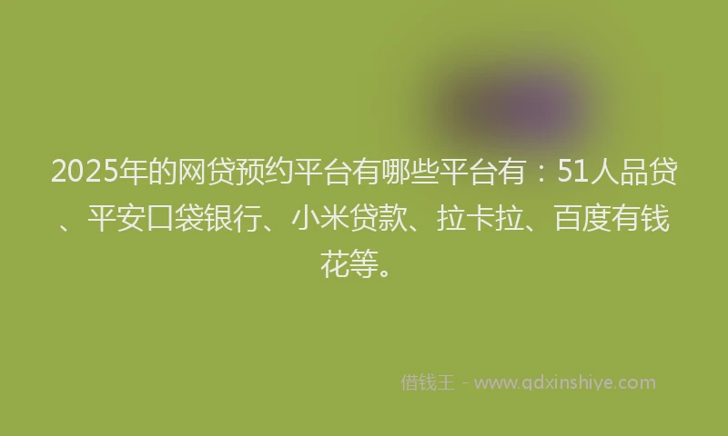 2025年的网贷预约平台有哪些平台有：51人品贷、平安口袋银行、小米贷款、拉卡拉、百度有钱花等。