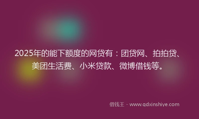 2025年的能下额度的网贷有：团贷网、拍拍贷、美团生活费、小米贷款、微博借钱等。