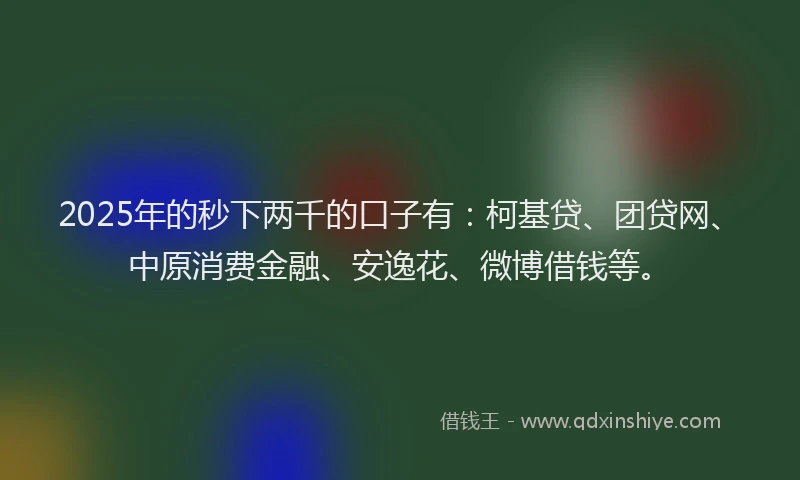 2025年的秒下两千的口子有：柯基贷、团贷网、中原消费金融、安逸花、微博借钱等。