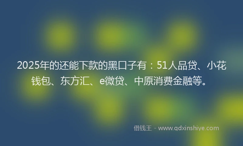 2025年的还能下款的黑口子有：51人品贷、小花钱包、东方汇、e微贷、中原消费金融等。