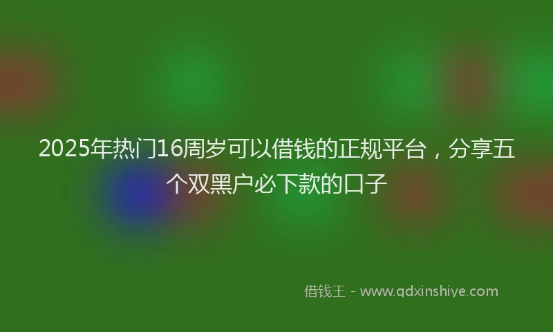 2025年热门16周岁可以借钱的正规平台，分享五个双黑户必下款的口子