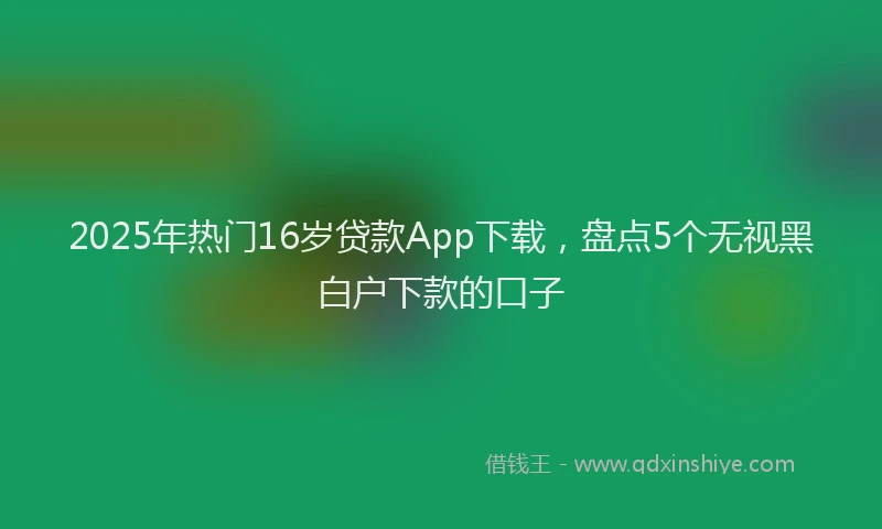 2025年热门16岁贷款App下载，盘点5个无视黑白户下款的口子