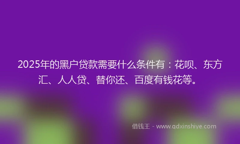 2025年的黑户贷款需要什么条件有：花呗、东方汇、人人贷、替你还、百度有钱花等。