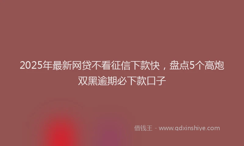 2025年最新网贷不看征信下款快，盘点5个高炮双黑逾期必下款口子