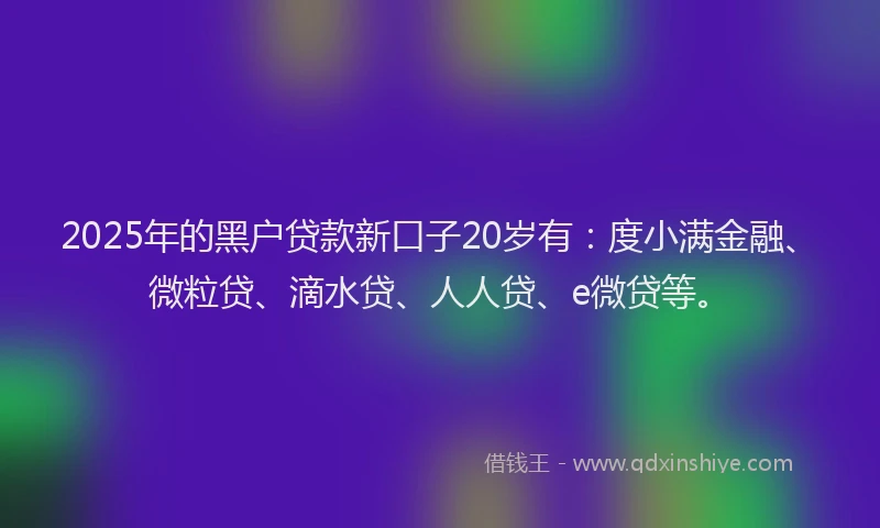 2025年的黑户贷款新口子20岁有：度小满金融、微粒贷、滴水贷、人人贷、e微贷等。