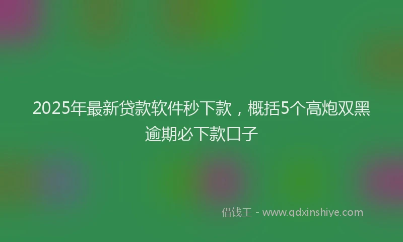 2025年最新贷款软件秒下款，概括5个高炮双黑逾期必下款口子