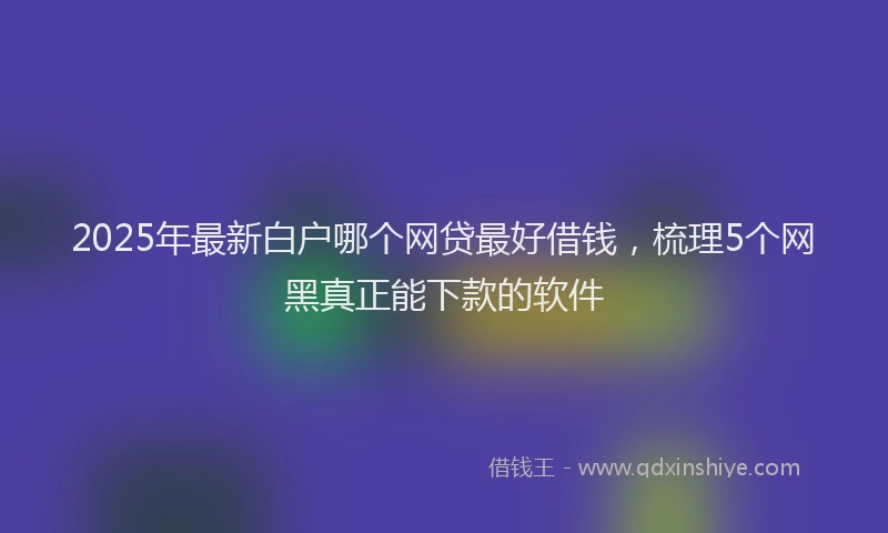 2025年最新白户哪个网贷最好借钱，梳理5个网黑真正能下款的软件