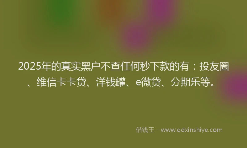 2025年的真实黑户不查任何秒下款的有：投友圈、维信卡卡贷、洋钱罐、e微贷、分期乐等。