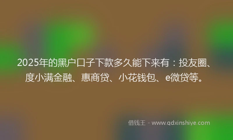 2025年的黑户口子下款多久能下来有：投友圈、度小满金融、惠商贷、小花钱包、e微贷等。