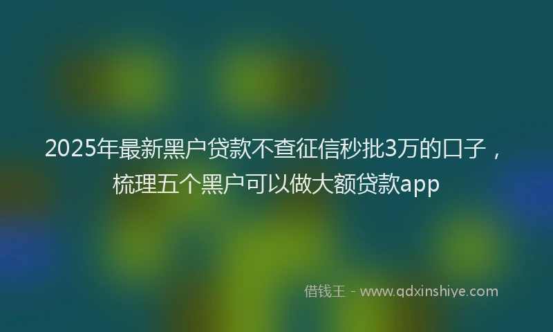 2025年最新黑户贷款不查征信秒批3万的口子，梳理五个黑户可以做大额贷款app