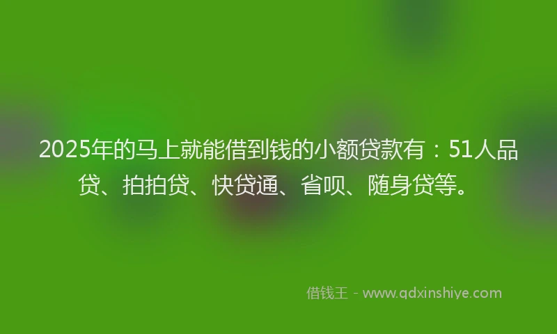 2025年的马上就能借到钱的小额贷款有：51人品贷、拍拍贷、快贷通、省呗、随身贷等。