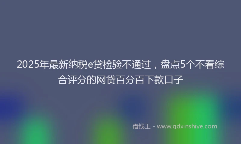 2025年最新纳税e贷检验不通过，盘点5个不看综合评分的网贷百分百下款口子