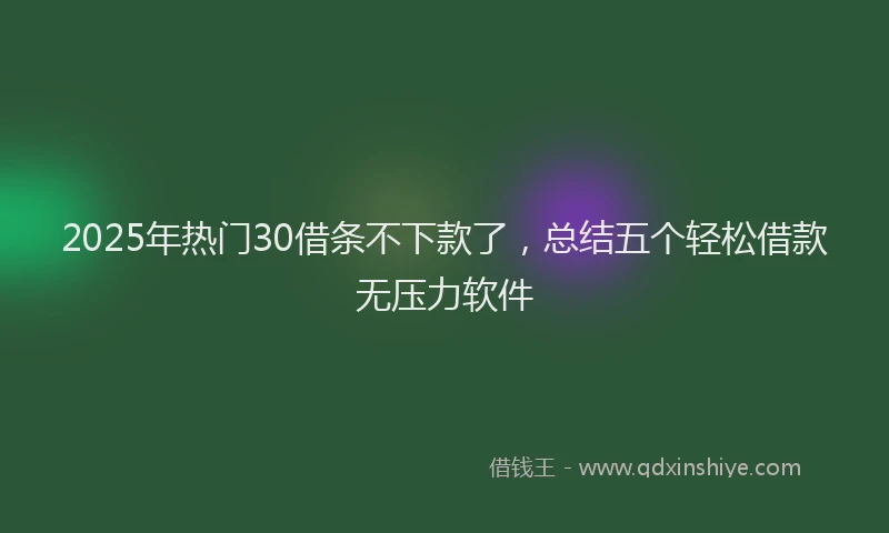 2025年热门30借条不下款了，总结五个轻松借款无压力软件