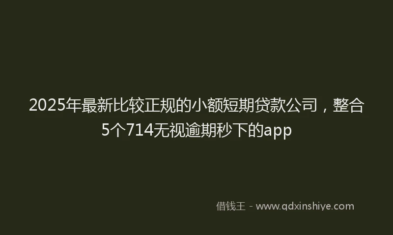 2025年最新比较正规的小额短期贷款公司，整合5个714无视逾期秒下的app