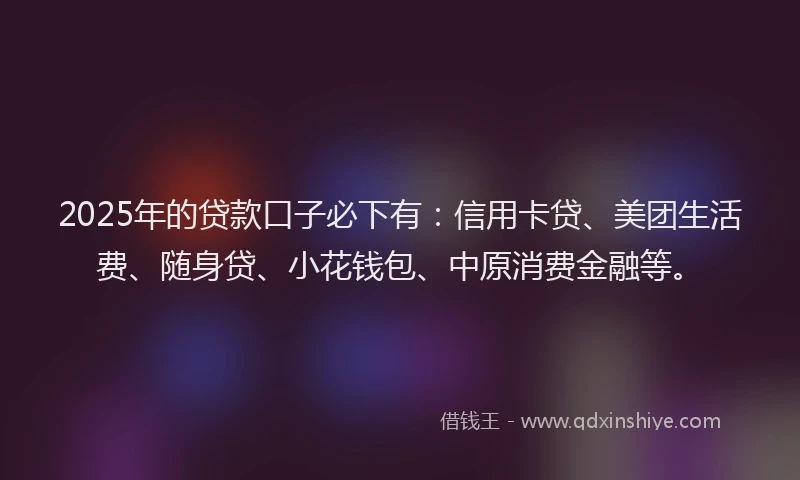2025年的贷款口子必下有：信用卡贷、美团生活费、随身贷、小花钱包、中原消费金融等。