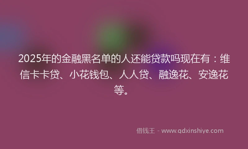 2025年的金融黑名单的人还能贷款吗现在有：维信卡卡贷、小花钱包、人人贷、融逸花、安逸花等。