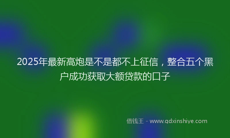 2025年最新高炮是不是都不上征信，整合五个黑户成功获取大额贷款的口子