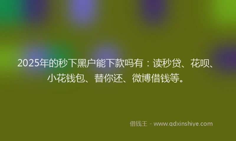2025年的秒下黑户能下款吗有：读秒贷、花呗、小花钱包、替你还、微博借钱等。