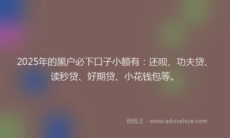 2025年的黑户必下口子小额有：还呗、功夫贷、读秒贷、好期贷、小花钱包等。