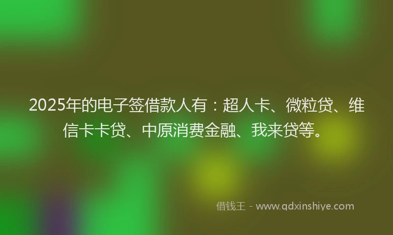 2025年的电子签借款人有：超人卡、微粒贷、维信卡卡贷、中原消费金融、我来贷等。