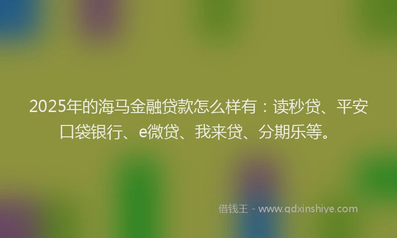 2025年的海马金融贷款怎么样有：读秒贷、平安口袋银行、e微贷、我来贷、分期乐等。