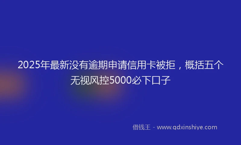 2025年最新没有逾期申请信用卡被拒，概括五个无视风控5000必下口子