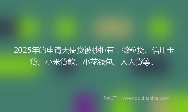 2025年的申请天使贷被秒拒有：微粒贷、信用卡贷、小米贷款、小花钱包、人人贷等。