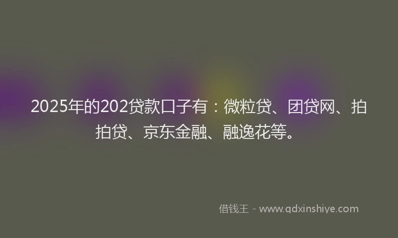 2025年的202贷款口子有：微粒贷、团贷网、拍拍贷、京东金融、融逸花等。