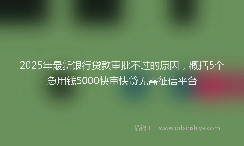2025年最新银行贷款审批不过的原因，概括5个急用钱5000快审快贷无需征信平台
