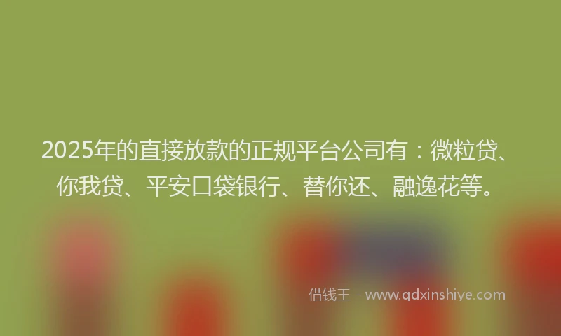 2025年的直接放款的正规平台公司有：微粒贷、你我贷、平安口袋银行、替你还、融逸花等。