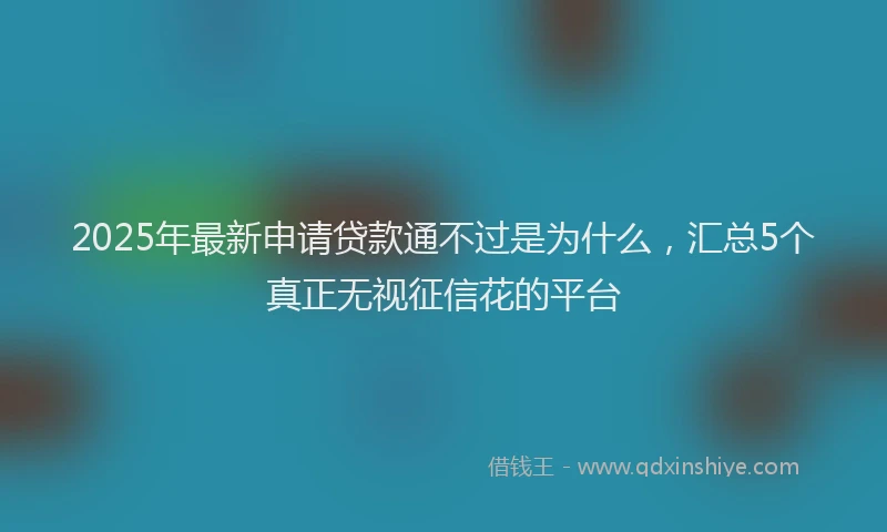 2025年最新申请贷款通不过是为什么，汇总5个真正无视征信花的平台