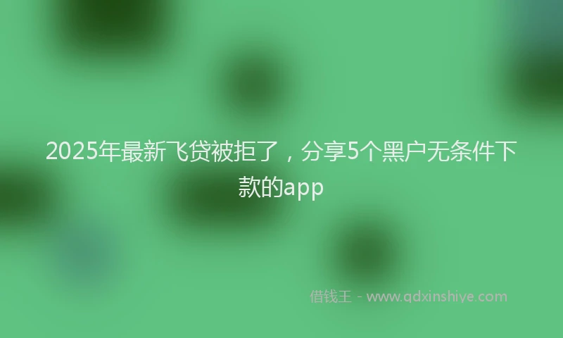 2025年最新飞贷被拒了，分享5个黑户无条件下款的app