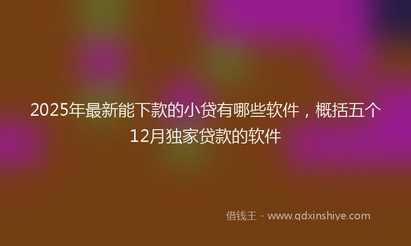 2025年最新能下款的小贷有哪些软件，概括五个12月独家贷款的软件
