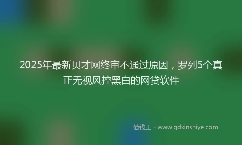 2025年最新贝才网终审不通过原因，罗列5个真正无视风控黑白的网贷软件