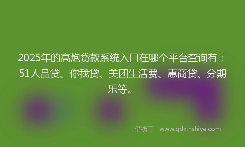 2025年的高炮贷款系统入口在哪个平台查询有：51人品贷、你我贷、美团生活费、惠商贷、分期乐等。
