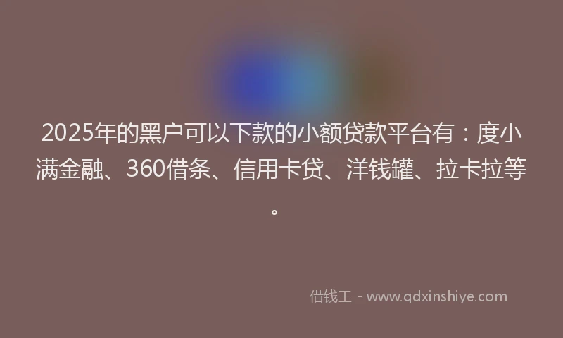 2025年的黑户可以下款的小额贷款平台有：度小满金融、360借条、信用卡贷、洋钱罐、拉卡拉等。